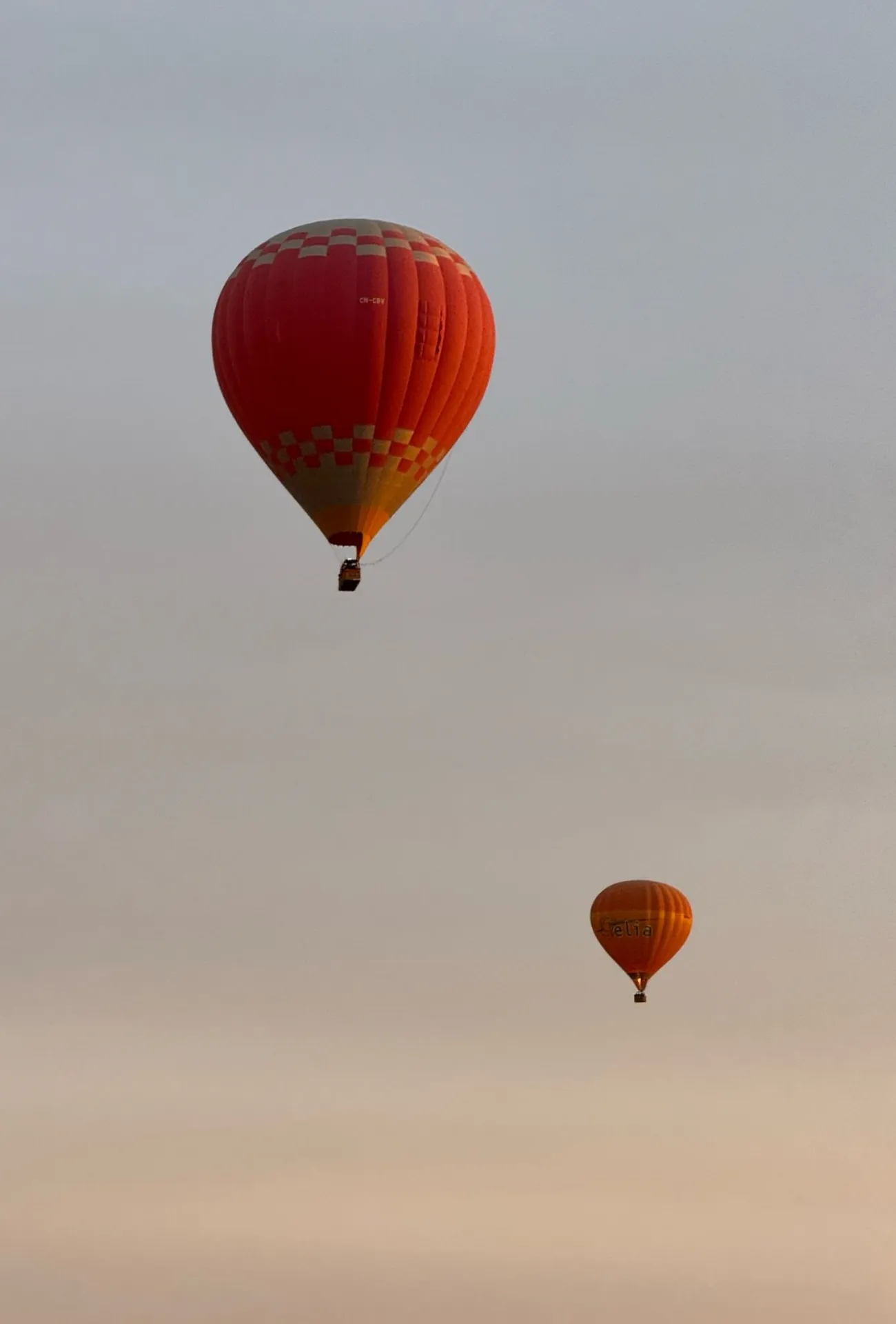 IMG-20250405-WA0005 (3)