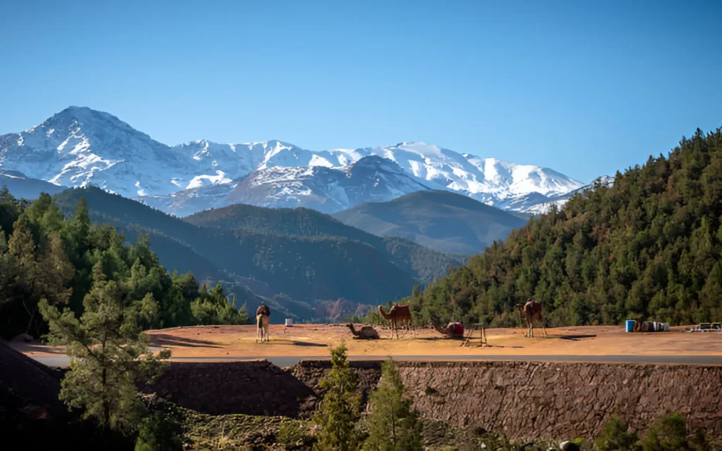 Hot Air Balloon Marrakech